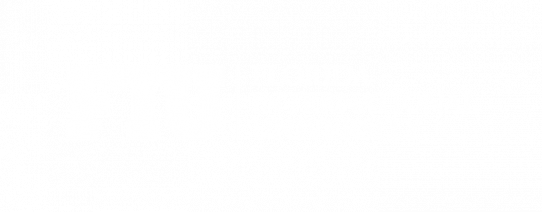 Florida International University