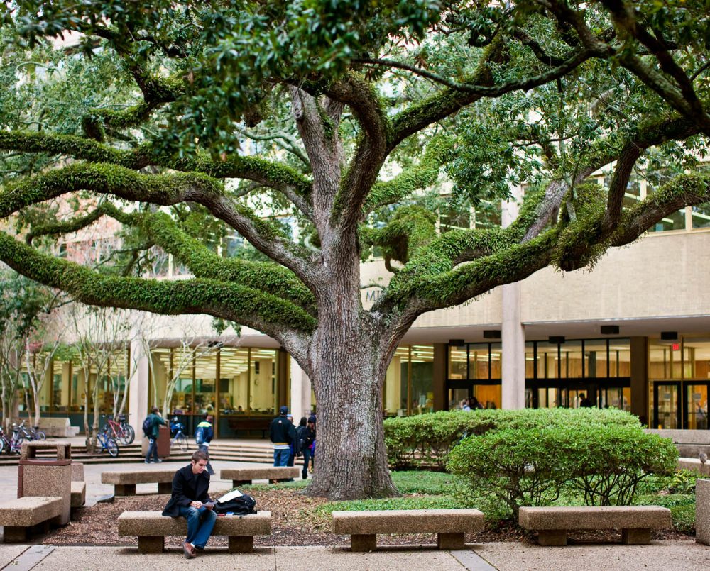 Louisiana State University